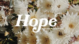 Hope: A Study in Scripture Psalms 119:114 New Century Version