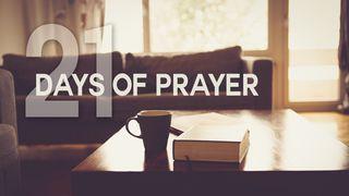 21 Days Of Prayer Psalms 29:11 New Living Translation