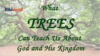 What Trees Can Teach Us About God and His Kingdom Isaiah 44:23 New Century Version