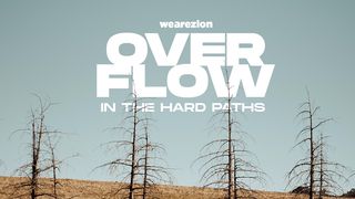 Overflow In The Hard Paths  Genesis 37:1-36 Amplified Bible