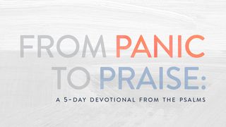 From Panic to Praise: A 5-Day Devotional From the Psalms Psalms 94:19 New International Version