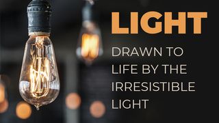 LIGHT - Drawn to Life by the Irresistible Light John 3:3 The Message