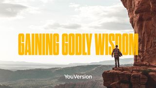 Gaining Godly Wisdom 1 Kings 3:9 New International Version