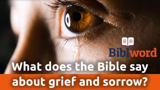 What Does The Bible Say About Grief And Sorrow? 2 Corinthians 7:8-10 Amplified Bible