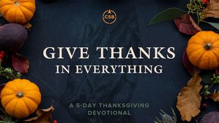 Dêem graças em tudo: Um devocional de 5 dias de Ação de Graças Philippians 4:7 New International Version