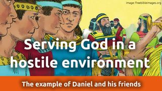 Serving God in a Hostile Environment. The Example of Daniel and His Friends Daniel 2:27-28 The Message