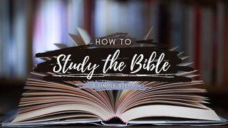 How to Study the Bible: 5 Simple Steps Acts 2:42-46 New American Standard Bible - NASB 1995