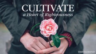 Cultivate a Heart of Righteousness! Colossians 3:15 English Standard Version 2016