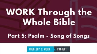 Work Through the Whole Bible, Part 5 Ecclesiastes 2:24 New International Version