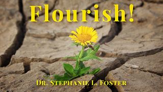 Flourish! Joshua 1:9 Amplified Bible
