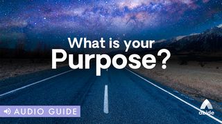 What Is Your Purpose? Hebrews 3:7-9 New International Version