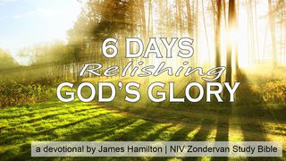 6 Days Relishing God’s Glory Isaiah 6:6 New Living Translation