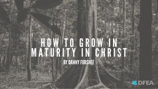 Growing in Maturity in Christ  John 3:3 The Message