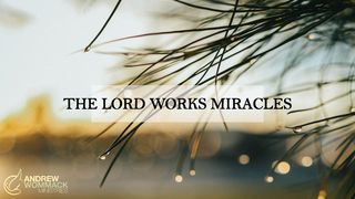 The Lord Works Miracles Matthew 8:3 New International Version