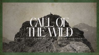 Call of the Wild:  a Journey Through the Book of James James (Jacob) 3:2-4 The Passion Translation
