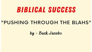 Biblical Success - Pushing Through the "Blahs"  Psalms 19:13-14 New Century Version