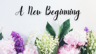 A New Beginning John 3:3 The Message