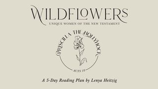 Wildflowers Week Four | Priscilla the Hollyhock  Acts 18:24-28 New International Version