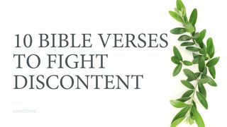 Contentment: 10 Bible Verses to Fight Discontent Matthew 6:33 New American Standard Bible - NASB 1995