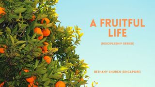 A Fruitful Life John 15:1 New International Version