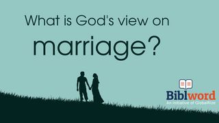 What Is God's View on Marriage? Mark 12:25 New International Version