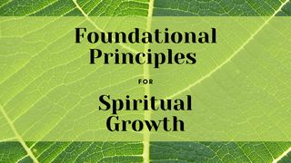 Foundational Principles for Spiritual Growth 1 Corinthians 13:1-7 The Message
