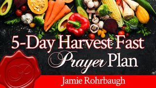 5-Day Harvest Fast Prayer Plan Isaiah 58:10 The Passion Translation