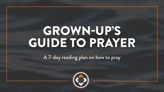 Grown Up's Guide to Prayer Luke 18:34 New International Version