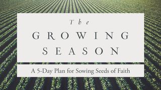 The Growing Season Matthew 13:13-15 New Living Translation