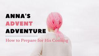 Anna's Advent Adventure Luke 2:36-52 Amplified Bible
