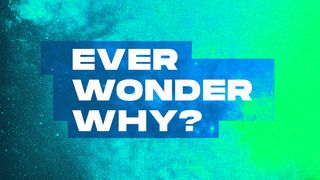 Ever Wonder Why?  John 6:44 New International Version