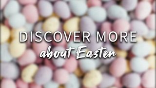Discover More About Easter Luke 20:27-47 New International Version