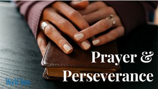 Prayer & Perseverance Philippians 1:17 New International Version