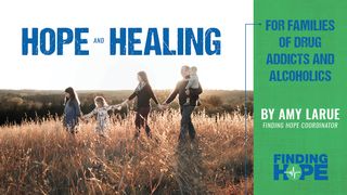 Hope & Healing for Families of Drug Addicts and Alcoholics James 1:10 New Living Translation