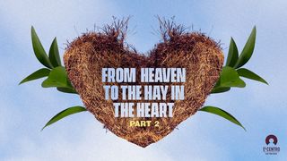 [From Heaven to the Hay in the Heart] Part 2 Luke 2:8-20 New International Version