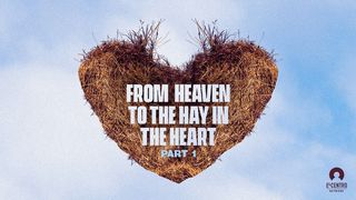 [From Heaven to the Hay in the Heart] Part 1 Matthew 2:10 New Living Translation