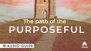 Path of the Purposeful  Luke 6:37-42 New International Version