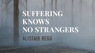 Suffering Knows No Strangers Psalms 31:14-24 New Living Translation