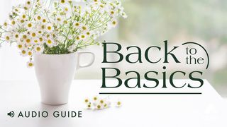 Back to the Basics Luke 11:1-13 English Standard Version 2016