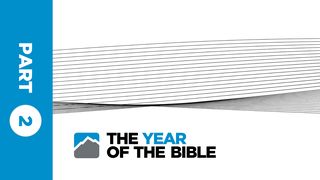 Year of the Bible: Part Two of Twelve  Exodus 6:6 New International Version