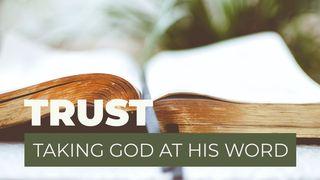 Trust - Taking God at His Word and Living Accordingly Mark 5:25-26 New American Standard Bible - NASB 1995