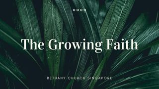 The Growing Faith Philippians 2:12 The Passion Translation