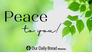 Peace to You! 1 John 3:11 New International Version
