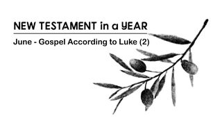 New Testament in a Year: June Luke 18:34 New International Version