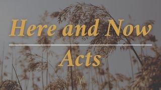 Here and Now Acts of the Apostles 17:24-31 New Living Translation