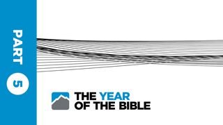 Year of the Bible: Part Five of Twelve  Proverbs 18:2 The Message