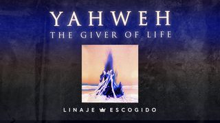 Yahweh, the Giver of Life Ezekiel 37:4-6 The Message