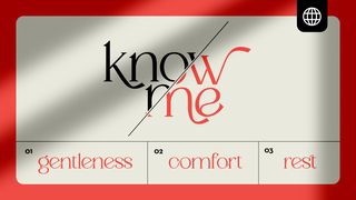 Know Me—Release the Lie and Embrace God. John 10:4-5 New Living Translation
