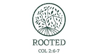 Rooted: Developing a Faith That Will Last Hebrews 13:16 The Message