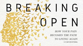 Breaking Open How Your Pain Becomes the Path to Living Again Psalms 77:14 New International Version